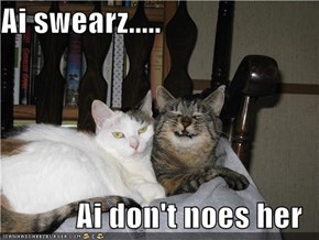 Ai swearz.....  Ai don't noes her