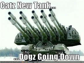 Catz New Tank...  ...Dogz Going Down