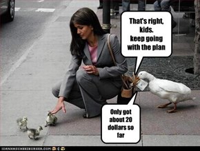 That's right, kids. keep going with the plan