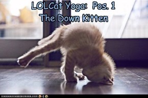 lolcat yoga