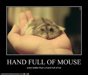 HAND FULL OF MOUSE