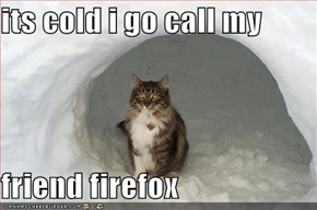 its cold i go call my   friend firefox