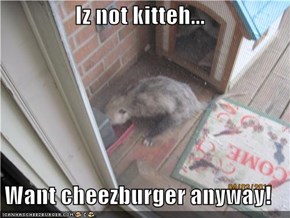 Iz not kitteh...  Want cheezburger anyway!