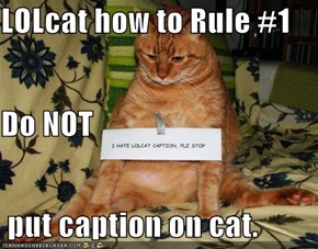 LOLcat how to Rule #1 Do NOT  put caption on cat.