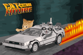 Cat 2 the Future 