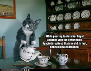 While pouring tea into her Royal Doultons with the periwinkles, Hyacinth realised that she did, in fact, believe in reincarnation.