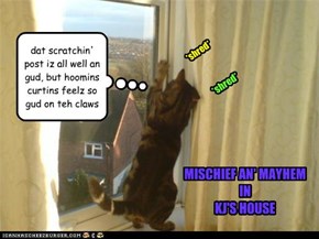 dat scratchin' post iz all well an gud, but hoomins curtins feelz so gud on teh claws