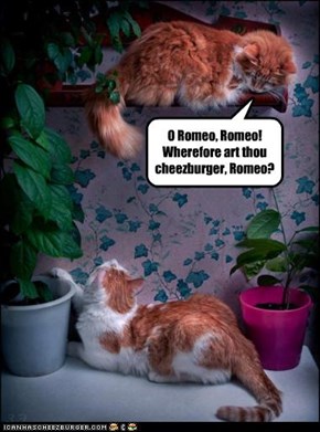 O Romeo, Romeo!