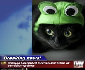 Breaking news! -  Undercovr basement cat trickz innosent victimz wif   conspishus cyootness.