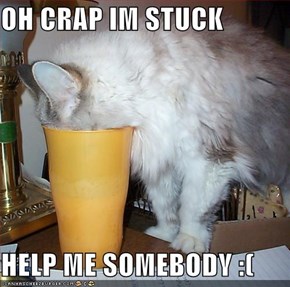 OH CRAP IM STUCK   HELP ME SOMEBODY :(