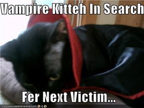 Vampire Kitteh In Search  Fer Next Victim...