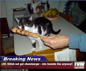 Breaking News - Kitteh not get cheezburger - lets hoomin live anyway!