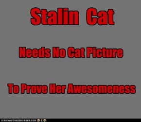 Stalin Cat