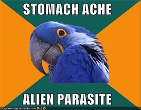 Paranoid Parrot: Stomach Ache