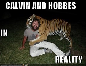 CALVIN AND HOBBES IN REALITY