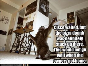 Cisco waited, but the pizza dough was definitely  stuck up there.  This would not go well when the owners got home.