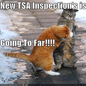 New TSA Inspection's is  Going To Far!!!!