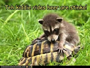 Teh kiddie rides heer are stinko!