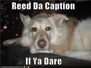 Reed Da Caption   If Ya Dare