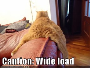 Caution: Wide load