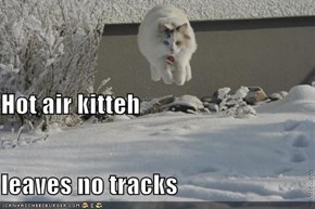 Hot air kitteh leaves no tracks
