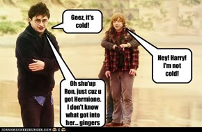 Hey! Harry! I'm not cold!