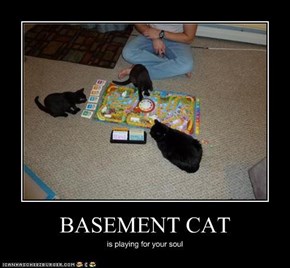 BASEMENT CAT