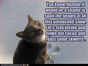 You know, human, it would be a shame to spoil the beauty of all this untouched snow. Let's stay inside and make hot cocoa and roast some skwerls .
