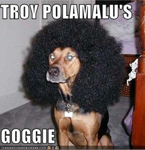 TROY POLAMALU'S  GOGGIE