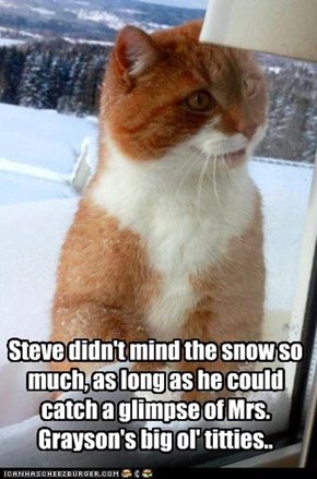 Steve didn't mind the snow so much, as long as he could catch a glimpse of Mrs. Grayson's big ol' titties..
