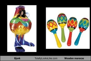 Bjork Totally Looks Like Wooden maracas