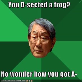 You D-sected a frog?  No wonder how you got A-