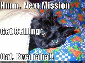 Hmm.. Next Mission Get Ceiling Cat. Bwahaha!!