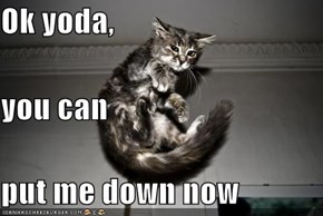 Ok yoda,  you can put me down now