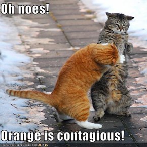 Oh noes!  Orange is contagious!