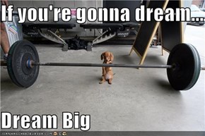 If you're gonna dream...  Dream Big