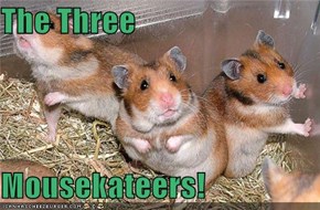 The Three  Mousekateers!