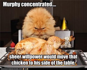 Murphy concentrated....