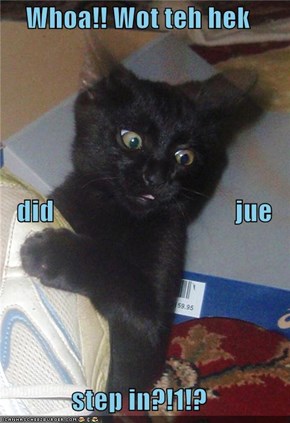 Whoa!! Wot teh hek     did                                  jue step in?!1!?