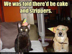 We was told there'd be cake and strippers.
