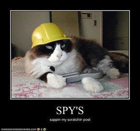 SPY'S