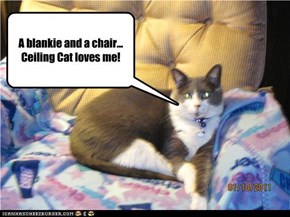 A blankie and a chair... Ceiling Cat loves me!