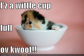 I'z a wittle cup full ov kwoot!!