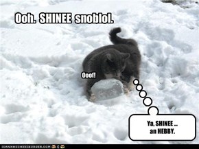 Icyblols is SHINEE.