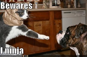 Bewares  I ninja