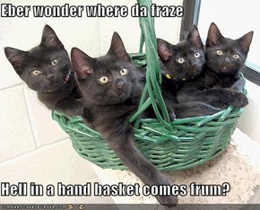Eber wonder where da fraze  Hell in a hand basket comes frum?