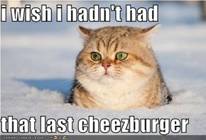 i wish i hadn't had  that last cheezburger