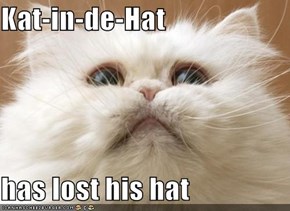 Kat-in-de-Hat   has lost his hat