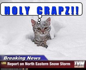 Breaking News - Report on North Eastern Snow Storm