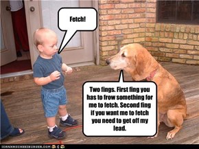 Fetch!